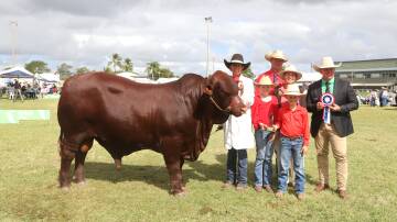 Kasey and Daniel Phillips and their children Taylor and Brian, holding grand champion Santa Gertrudis bull, Murgona Raider, with judge Erica Halliday and Nutrien stud stock representative Colby Ede. Picture: Sally Gall