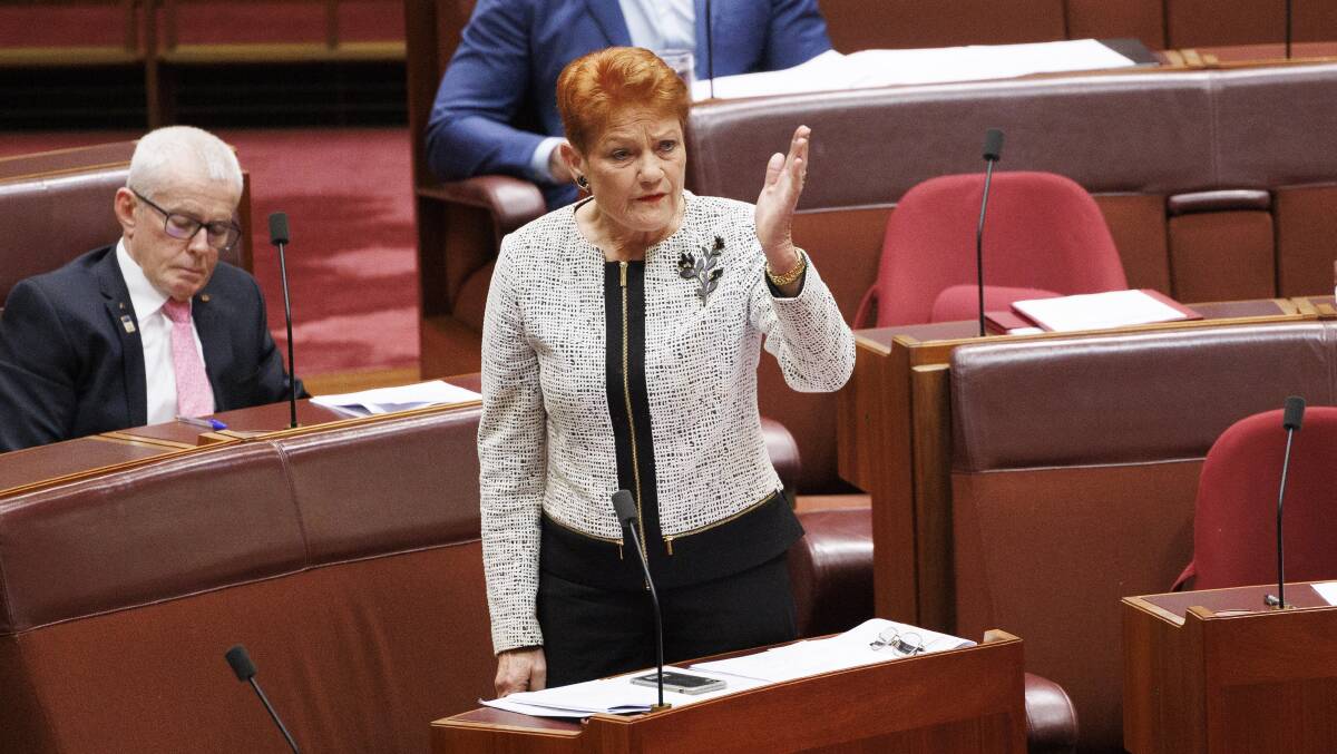 One Nation senator Pauline Hanson. Picture by Keegan Carroll