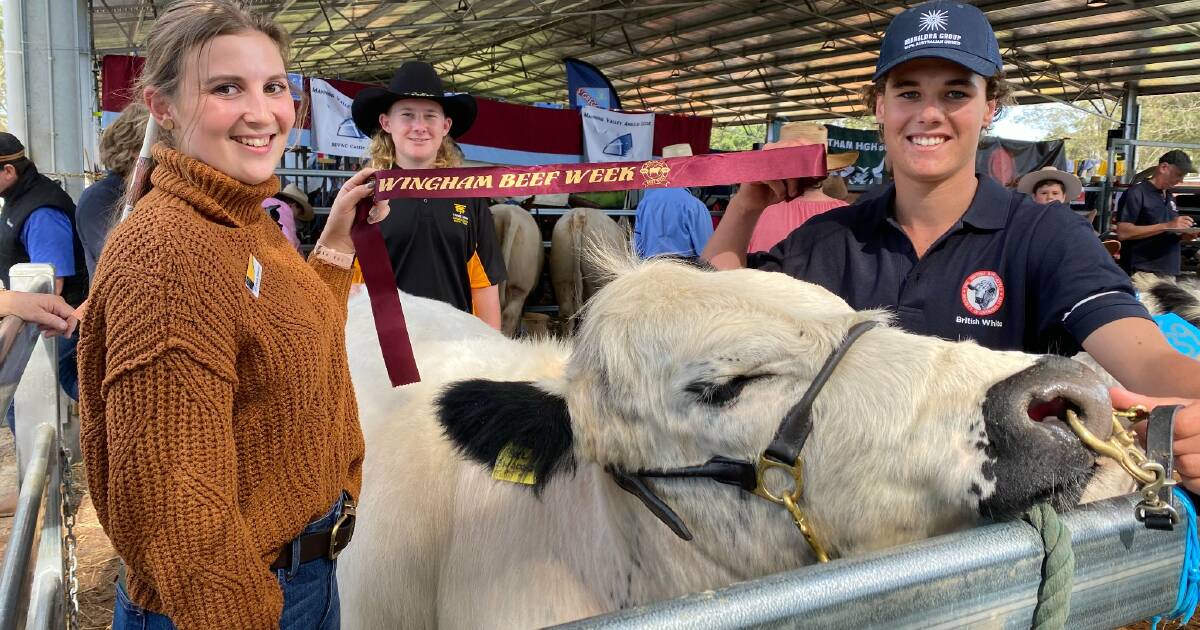 Wingham Beef Week is in its 36th year Manning River Times Taree, NSW