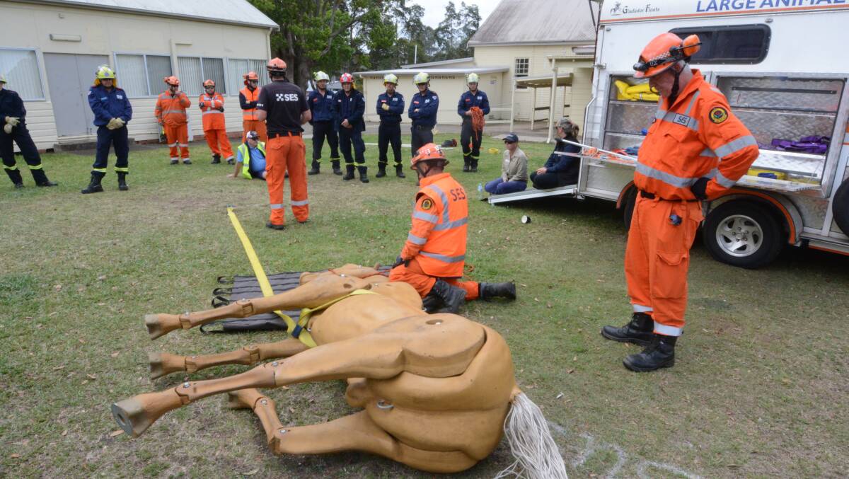 Emergency services personnel take part in large animal rescue training
